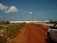 la piste des salines de Galinhos