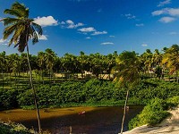 une piste bordée de cocotiers dans le Nord Est brésilien