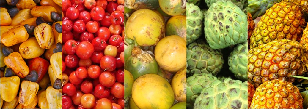 Fruits du Brésil, caju, acerola, maracuja, graviola, abacaxi