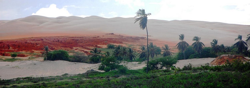 Désert d'Alagamar, dunas de Rosado, Bresil Rio Grande do Norte